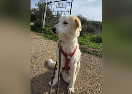 Tesorina: einfach unwiderstehlich