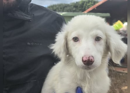 Monia und Mara: zwei Engel mit Plüschohren