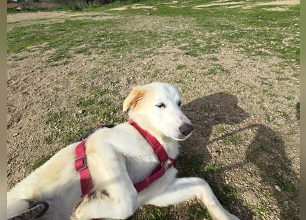 Tesorina: einfach unwiderstehlich