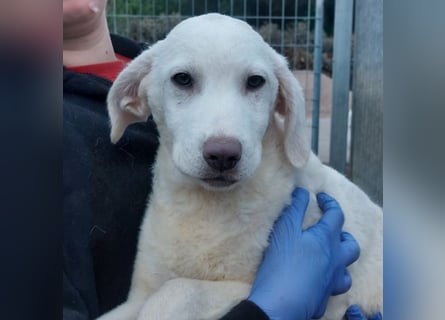 Biba: so klein und so allein