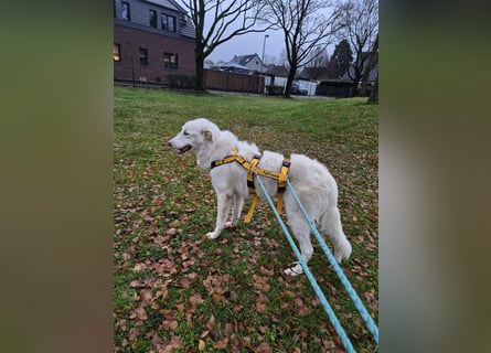 Milo: freut sich auf Besuch in NRW