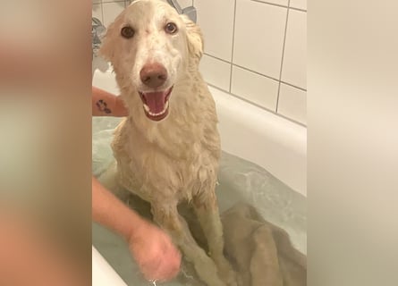 Milo: freut sich auf Besuch in NRW