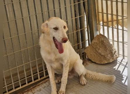 Milo: freut sich auf Besuch in NRW