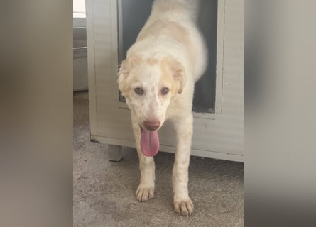 Milo: freut sich auf Besuch in NRW