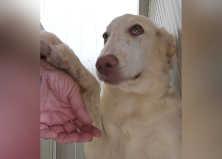 Milo: freut sich auf Besuch in NRW