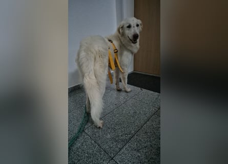 Milo: freut sich auf Besuch in NRW