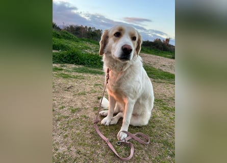 Naya: plötzlich einsam und allein