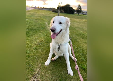 Naya: plötzlich einsam und allein