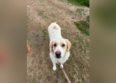 Naya: plötzlich einsam und allein