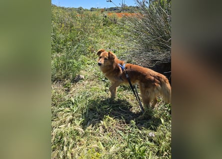 Rufus: Rettung in letzter Sekunde