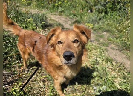 Rufus: Rettung in letzter Sekunde