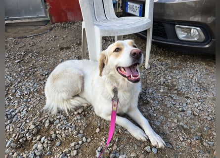 Naya: plötzlich einsam und allein