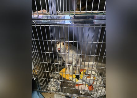 Naya: plötzlich einsam und allein