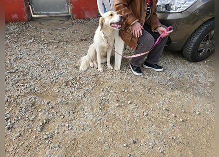 Naya: plötzlich einsam und allein