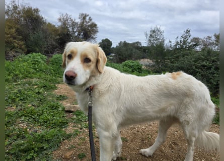 Naya: plötzlich einsam und allein