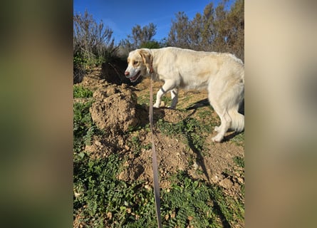 Naya: plötzlich einsam und allein