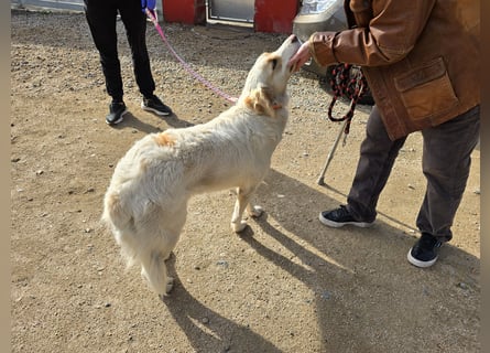 Naya: plötzlich einsam und allein