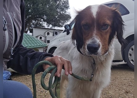 Brex: perfekt für Homeoffice und tolle Spaziergänge