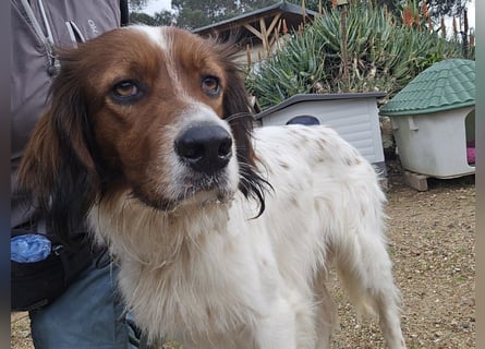 Brex: perfekt für Homeoffice und tolle Spaziergänge