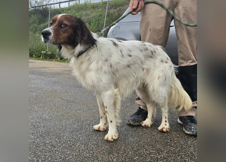 Brex: perfekt für Homeoffice und tolle Spaziergänge