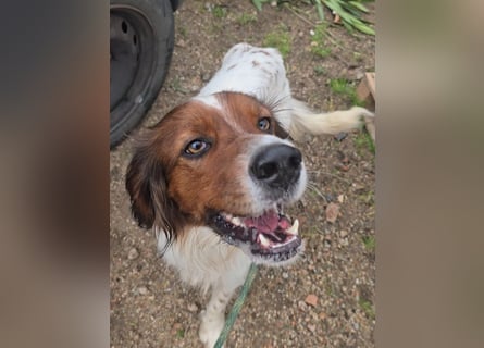 Brex: perfekt für Homeoffice und tolle Spaziergänge