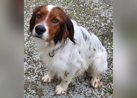 Brex: perfekt für Homeoffice und tolle Spaziergänge