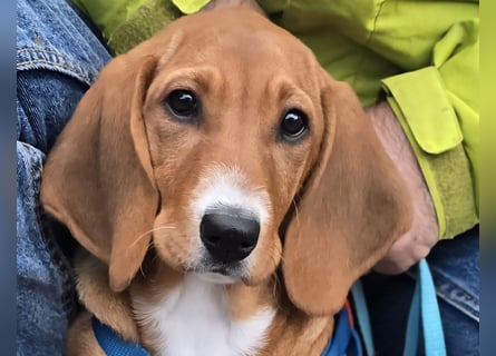 Nala piccola. einfach nur Zucker