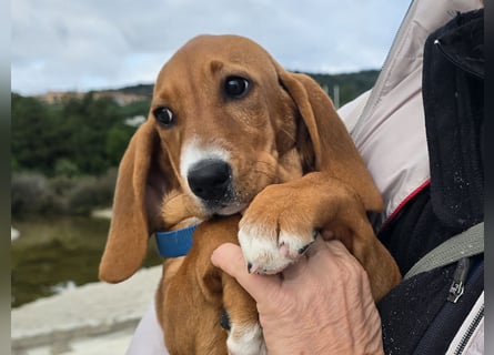 Nala piccola. einfach nur Zucker