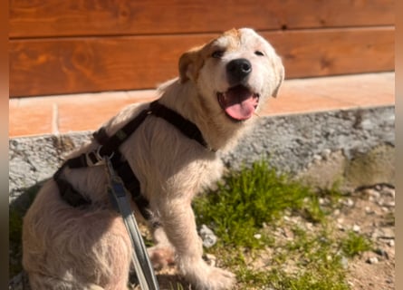 Gegina: kleine Zaubermaus