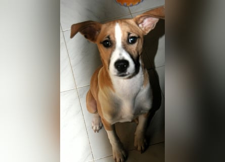 Paolo: Lebensfreude pur