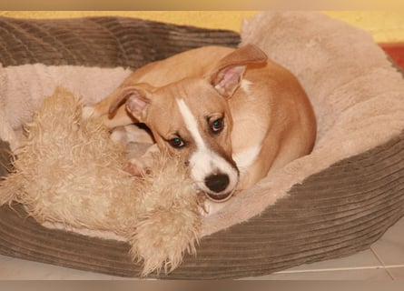 Paolo: Lebensfreude pur