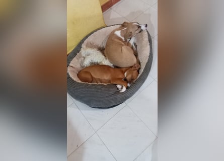 Paolo: Lebensfreude pur