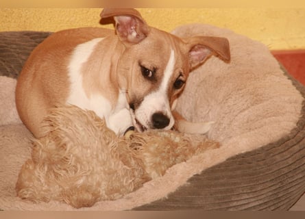 Paolo: Lebensfreude pur