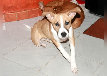 Paolo: Lebensfreude pur