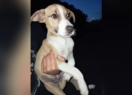 Paolo: Lebensfreude pur