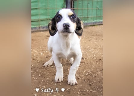 Sparky und Sally   suchen ein Zuhause