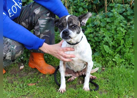 Typisch Frohnatur ♦️I Z Z Y ♦️ in der Cantinho da Milu ⏳ 1/2026