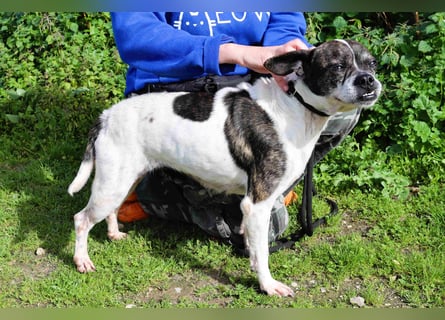 Typisch Frohnatur ♦️I Z Z Y ♦️ in der Cantinho da Milu ⏳ 1/2026