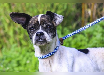 Typisch Frohnatur ♦️I Z Z Y ♦️ in der Cantinho da Milu ⏳ 1/2026