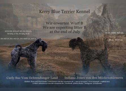 Unsere kleinen Schatzjäger sind da