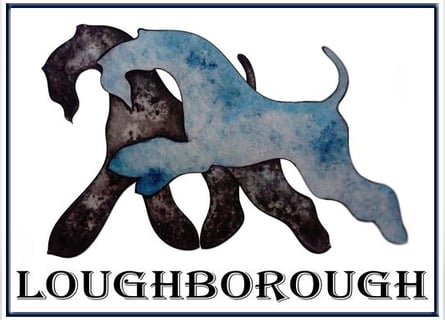 Kerry Blue Terrier Welpen – kleine Kunstwerke auf vier Pfoten suchen ihr Für-immer-Zuhause