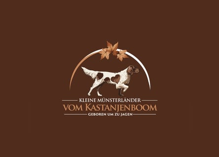 Kleine Münsterländer vom Kastanjenboom  Auslese-/Leistungszucht