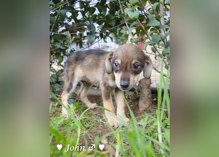 Update:  John und Jim suchen ab Dezember ein Zuhause