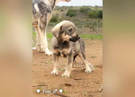 John und Jim suchen ab Dezember ein Zuhause