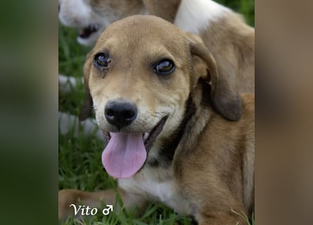 Update: nur noch ein Kokoni sucht ein Zuhause ab August