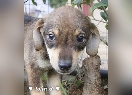 Update:  John und Jim suchen ab Dezember ein Zuhause