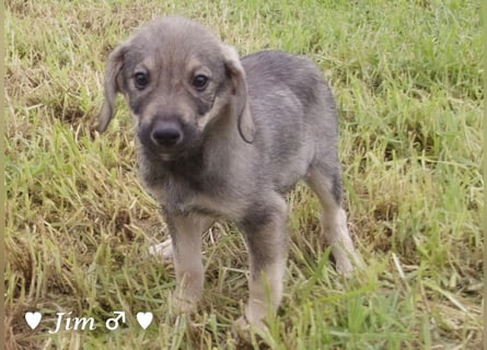 John und Jim suchen ab Dezember ein Zuhause