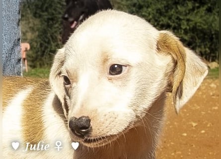 Update: Julie, John und Jim suchen ab Dezember ein Zuhause