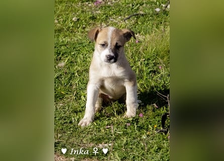 In der Südpfalz zu besuchen :Ein Winzling  sucht ein Zuhause