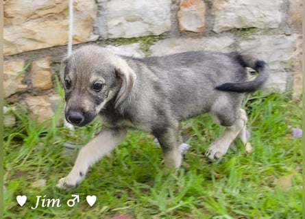 Update:  John und Jim suchen ab Dezember ein Zuhause